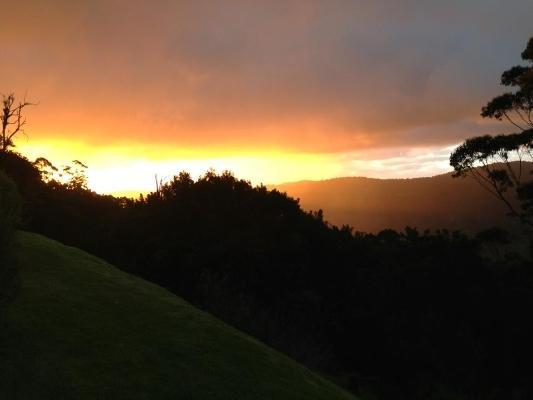Spring Creek Mountain Cafe & Cottages Killarney Room photo